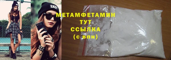 прущие грибы Балабаново