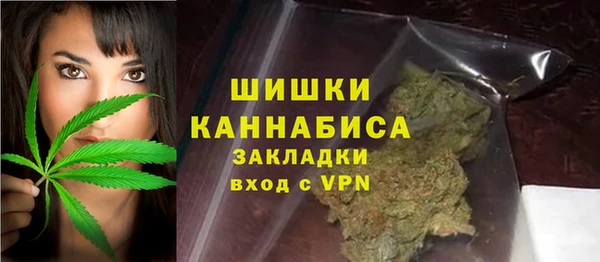 прущие грибы Балабаново