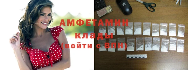 прущие грибы Балабаново