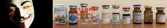прущие грибы Балабаново