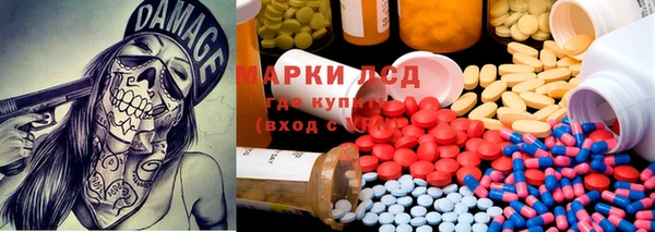 прущие грибы Балабаново