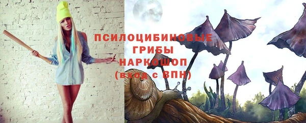 прущие грибы Балабаново