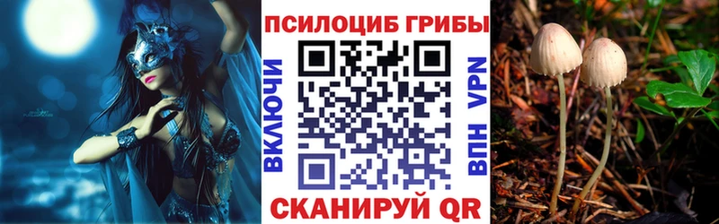 ОМГ ОМГ как зайти  магазин продажи   Островной  Галлюциногенные грибы прущие грибы 